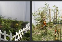 Cultivating Our Backyard Dream