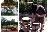 Disney World’s 2012 Food Blog Forum