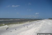 Post-Vacation Perfection: Hot and Sour Pork with Cabbage
