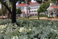 Food Blogging Magic at Walt Disney World 2013