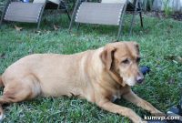 The 2013 Rewind Our Collective Favorites