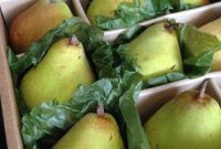 Unlock 8 Pear Pleasures and Win Harry & David Royal Riviera Pears