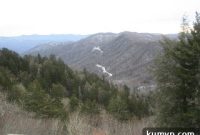 Home Sweet Home: Ina’s Mexican Chicken Soup