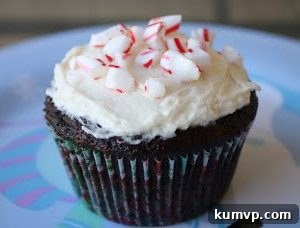Peppermint Swirl Chocolate Cupcakes 2 img 106 3