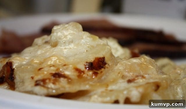 Elegant Potato-Fennel Gratin for Your Holiday Menu A festive serving of Potato-Fennel Gratin presented on a holiday table, garnished with fresh herbs.