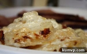 Barefoot Contessa's Signature Potato Fennel Gratin 2 img 107 4