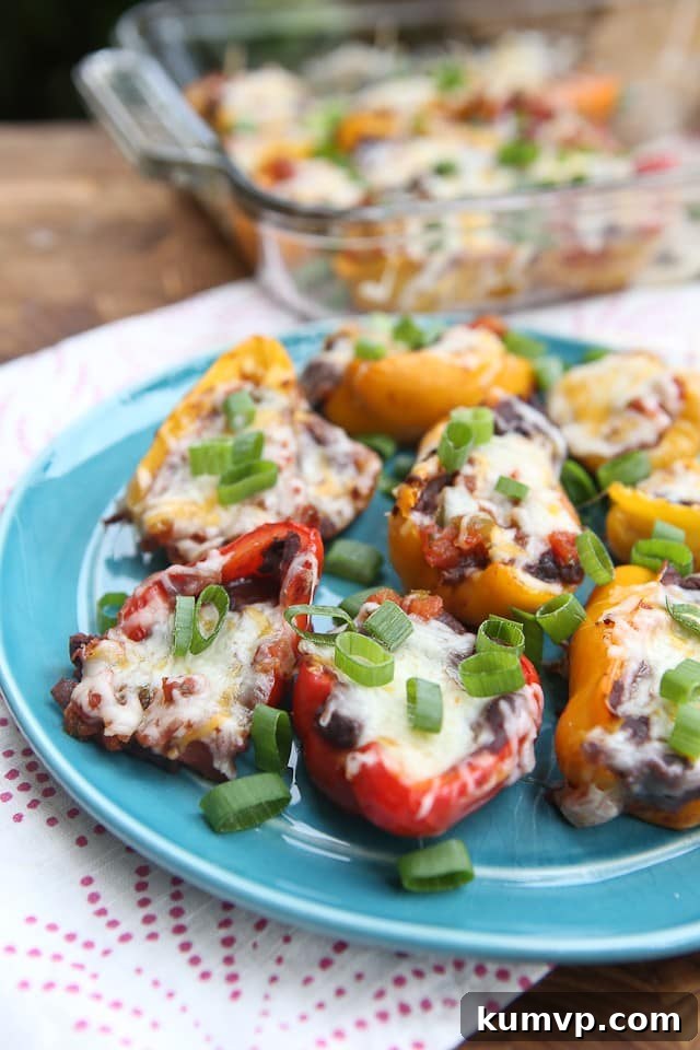 Delicious Mini Mexican Stuffed Peppers, featuring colorful baby bell peppers generously filled with seasoned black refried beans, vibrant salsa, and a generous topping of melted cheese. Perfect as a satisfying side or an irresistible appetizer.