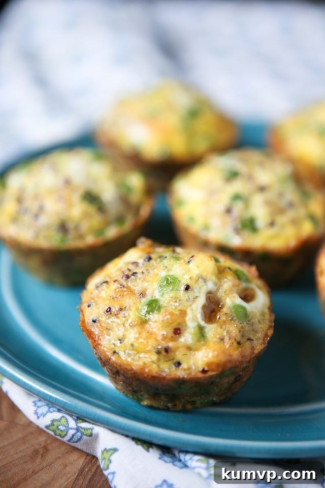 Delicious quinoa and egg muffins with bright green peas, served on a vibrant blue plate, perfect for a nutritious meal or snack.