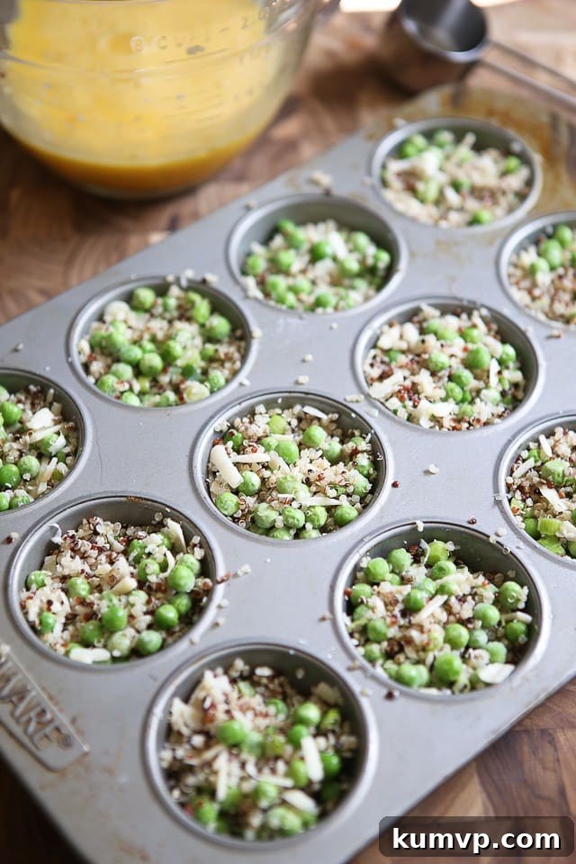 Close-up of a muffin tin filled with the colorful quinoa, pea, and cheese mixture, ready for the egg batter, highlighting the ingredients before baking.