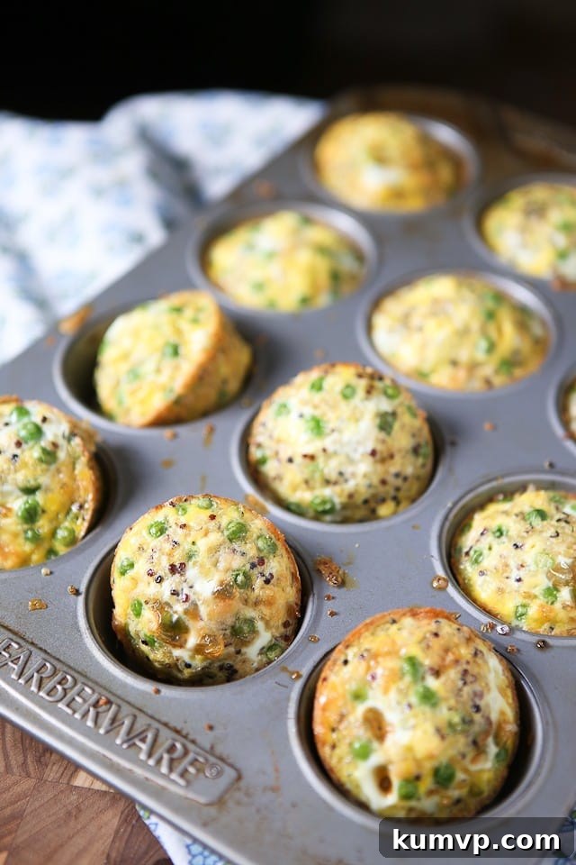 A muffin tin showcasing perfectly baked, golden-brown egg frittata muffins, still warm from the oven, ready to be enjoyed.