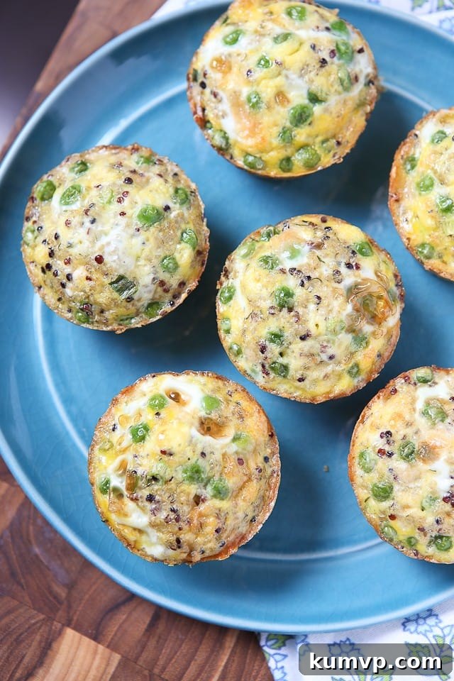 An appetizing close-up of protein-packed quinoa and egg frittata muffins, showcasing their hearty texture and wholesome appeal, perfect for healthy eating.