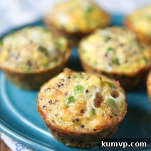 Protein packed quinoa and egg frittata muffins - perfect for breakfast or snacking on the go!
