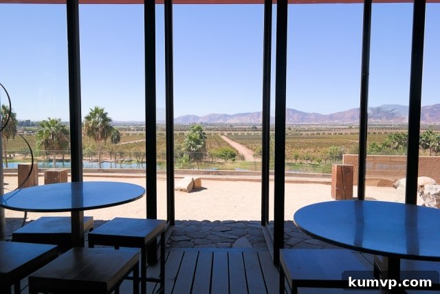 Princess Cruises Pacific Panoramas with Ruby Princess 13 Voyage along the California Coast on Princess Cruises to Santa Barbara and Ensenada, Mexico