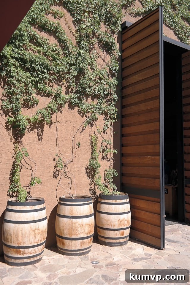 Princess Cruises Pacific Panoramas with Ruby Princess 16 Voyage along the California Coast on Princess Cruises to Santa Barbara and Ensenada, Mexico