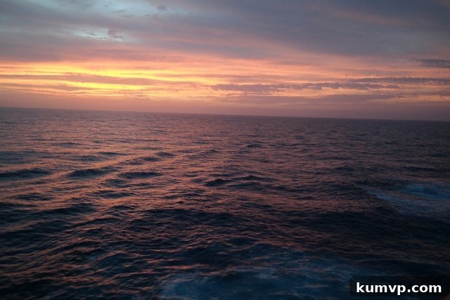 Princess Cruises Pacific Panoramas with Ruby Princess 7 Voyage along the California Coast on Princess Cruises to Santa Barbara and Ensenada, Mexico