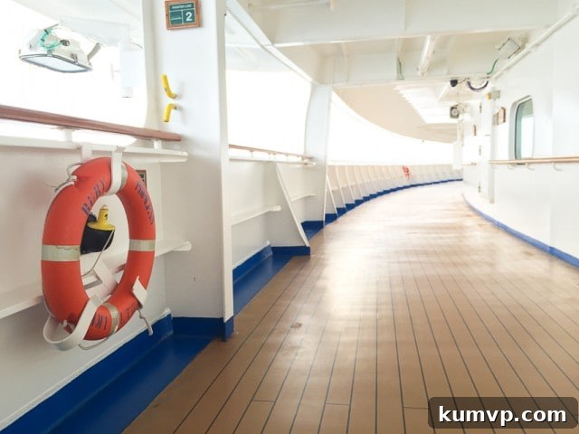 Princess Cruise Ship The majestic Princess Cruise Ship docked, showcasing the luxurious travel vessel.