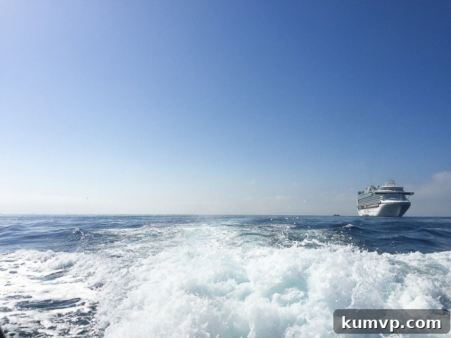 Pomegranate Perfection: 6 Vibrant Cocktails to Elevate Your Glass 2 Princess Cruises - Ruby Princess