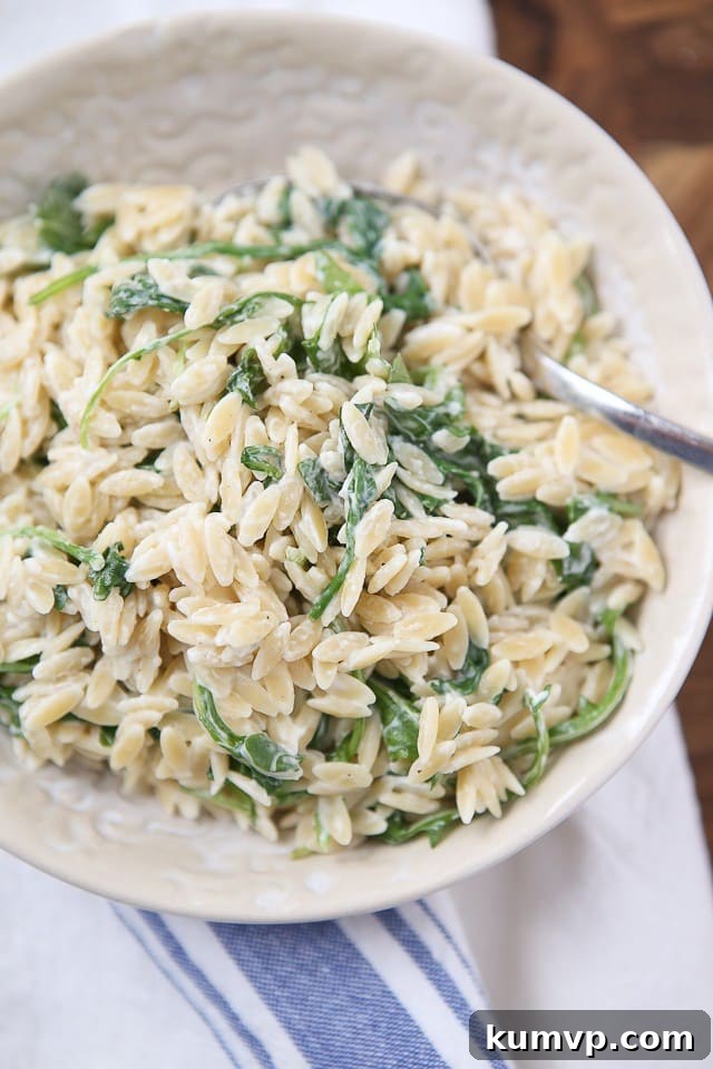 Tangy Goat Cheese and Peppery Arugula Orzo 2 Creamy goat cheese and fresh arugula perfectly combined with warm orzo pasta, a simple yet flavorful side dish that the whole family will adore. Ideal for busy weeknights or entertaining guests.