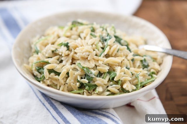 Tangy Goat Cheese and Peppery Arugula Orzo 3 Close-up of Orzo with Goat Cheese and Arugula, showcasing the creamy texture and fresh ingredients, perfect for a quick and flavorful meal.