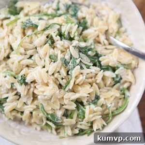 Tangy Goat Cheese and Peppery Arugula Orzo 5 Delicious Orzo with Goat Cheese and Arugula