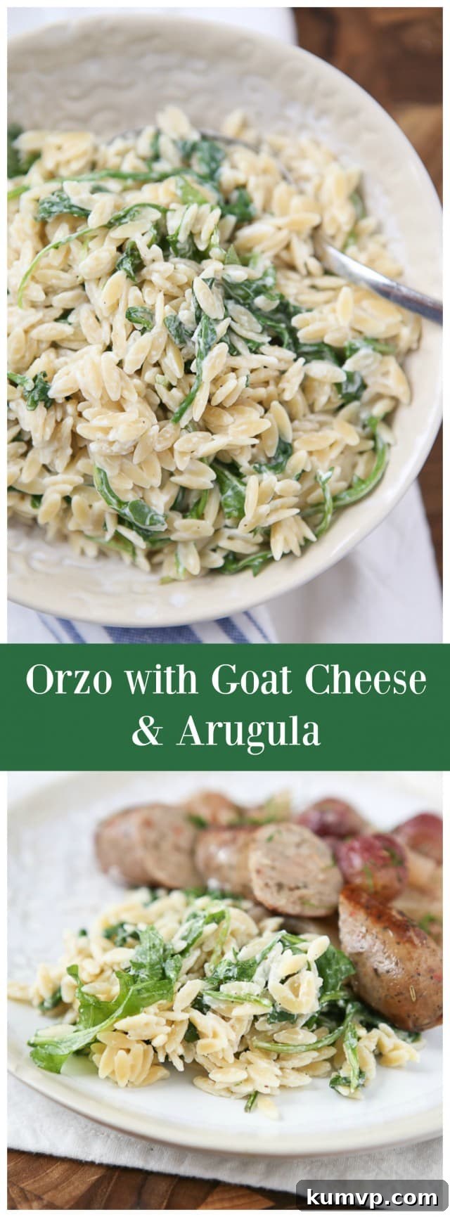 Orzo with Goat Cheese and Arugula by aggieskitchen.com - a delicious and easy pasta side dish perfect for family dinners or entertaining.