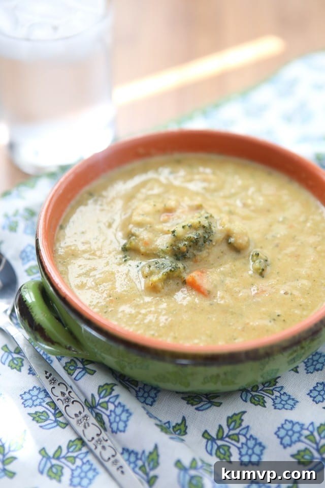 Hearty and Healthy Broccoli Cheese Soup with a Lightened Twist Delicious Lightened Up Broccoli Cheese Soup brimming with fresh vegetables