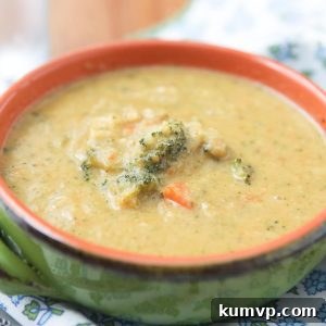 Lighter Broccoli Cheddar Bliss 3 img 11502 3