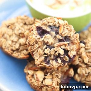 Almond Blueberry Oat Delights 8 img 11770 7
