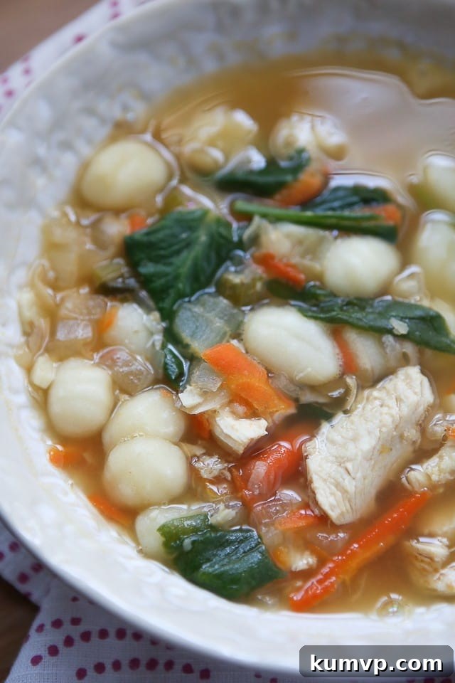 My family loves this Chicken Gnocchi Soup! Filled with protein, veggies and nutrition, perfect for when you're feeling under the weather. My family loves this Chicken Gnocchi Soup! Filled with protein, veggies and nutrition, perfect for when you're feeling under the weather.