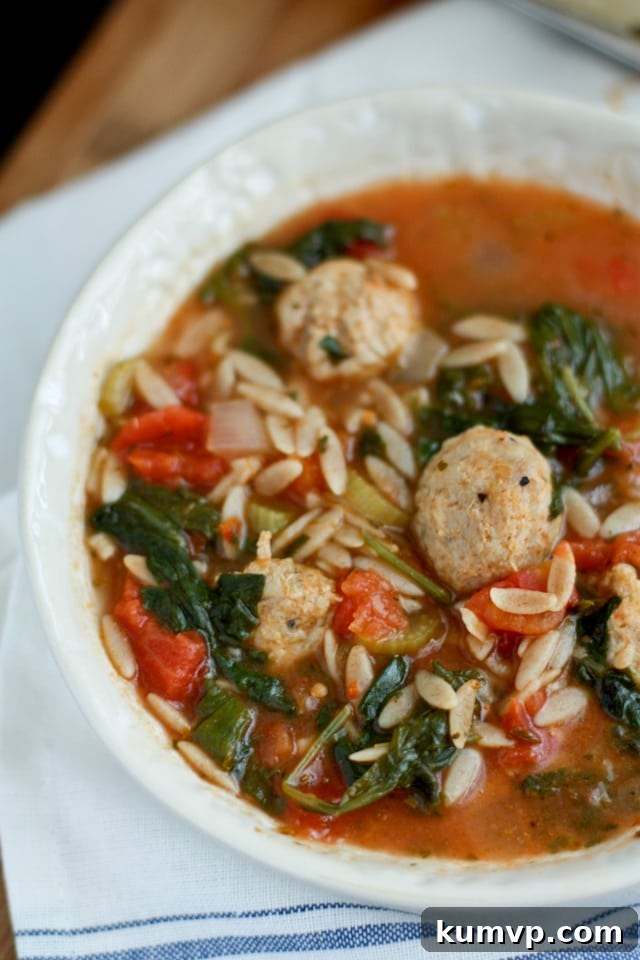 Wholesome Chicken Gnocchi Soup 4 Italian Orzo Soup with Meatballs, Spinach and Tomatoes
