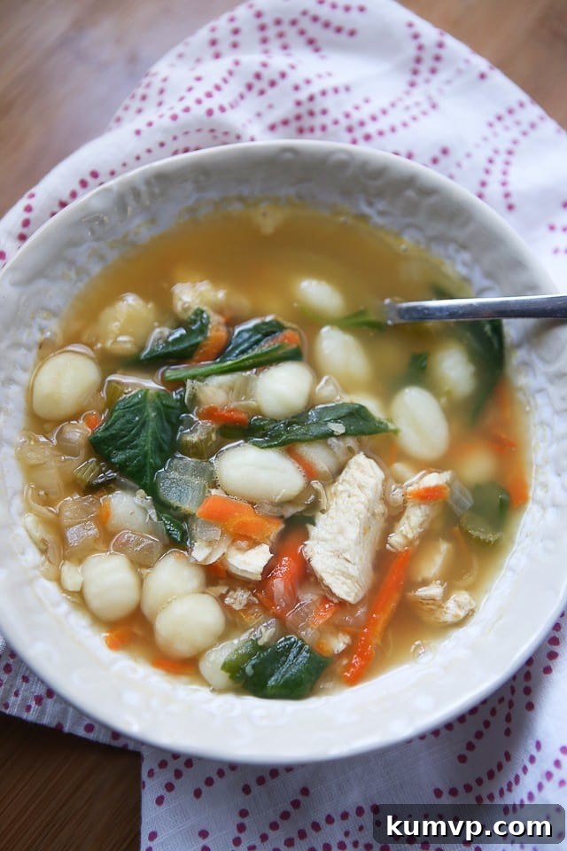 My family loves this Chicken Gnocchi Soup! Filled with protein, veggies and nutrition, perfect for when you're feeling under the weather. My family loves this Chicken Gnocchi Soup! Filled with protein, veggies and nutrition, perfect for when you're feeling under the weather.