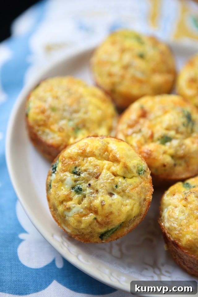 Broccoli Cheese Frittata Muffins with Quinoa: Your go-to protein-packed breakfast and snack. Delicious Broccoli Cheese Frittata Muffins with Quinoa, perfect for healthy breakfast or snack prep.
