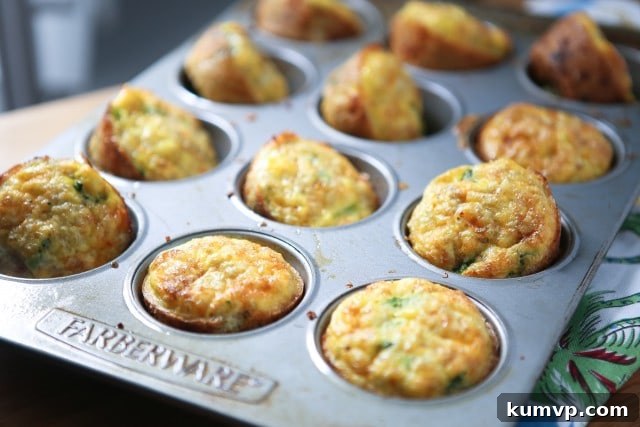 Versatile and delicious Broccoli Cheese Frittata Muffins for any time of day. Closeup of freshly baked Broccoli Cheese Frittata Muffins with Quinoa, ready for easy meal prep.