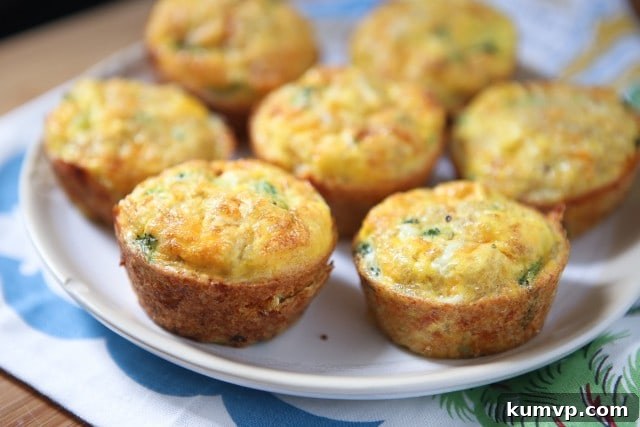 Easy-to-make Broccoli Cheese Frittata Muffins: a healthy choice for busy families. Broccoli Cheese Frittata Muffins with Quinoa, close-up texture, perfect healthy snack.