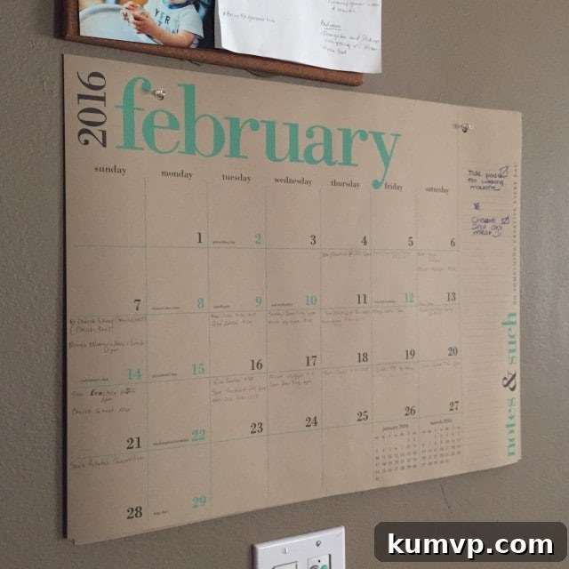 Friday Freedom 3 Friday Vibes: Organization and Productivity