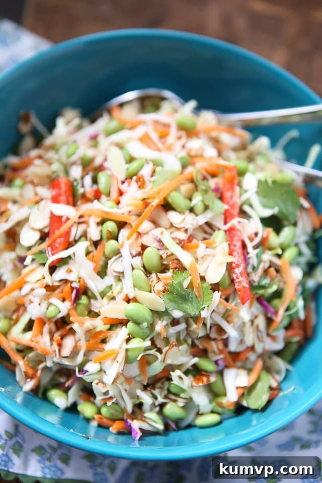 Exquisite Asian Almond Slaw Salad: A Healthy and Flavorful Delight Vibrant Asian Almond Slaw Salad with mixed greens, matchstick carrots, red bell pepper, Fisher almonds, edamame, and fresh cilantro, served in a large blue bowl