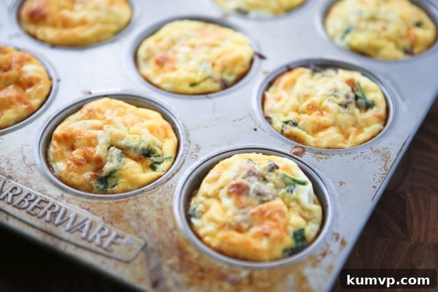 Savory Italian Sausage and Mushroom Egg Muffins 5 Plate of Baked Sausage and Mushroom Frittata Muffins