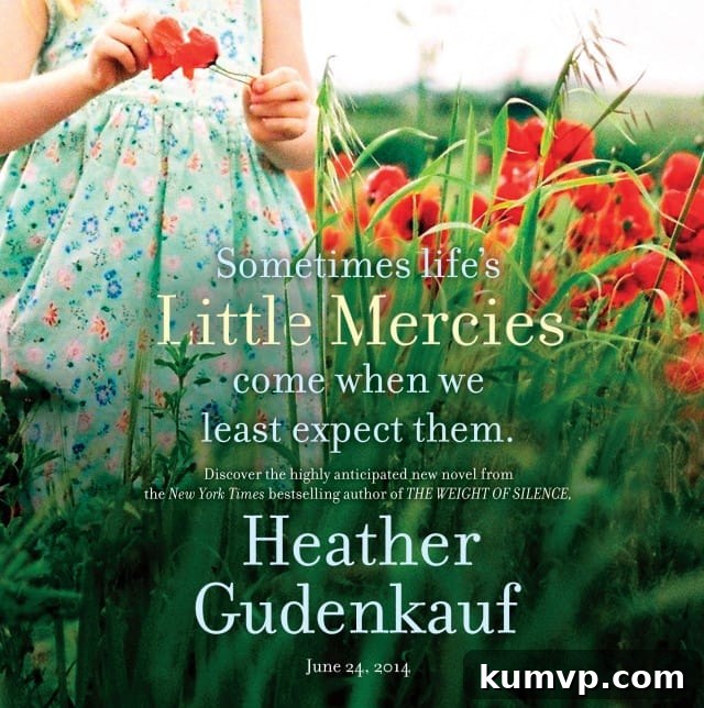 Little Mercies by Heather Gudenkauf