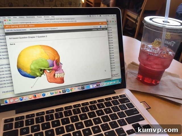 Balancing Passions: The Blogging Journey