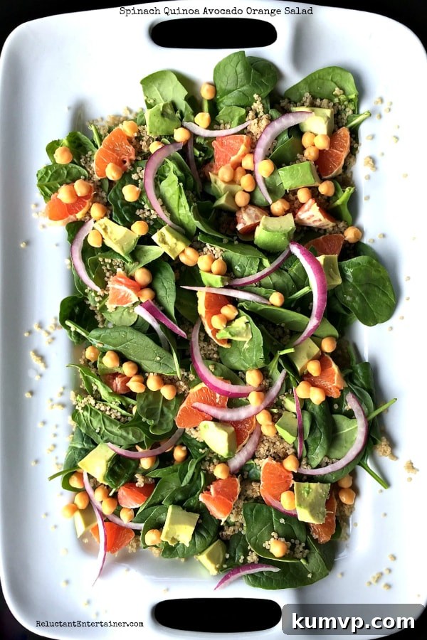 Spinach Quinoa Avocado Orange Salad - Citrus Fresh