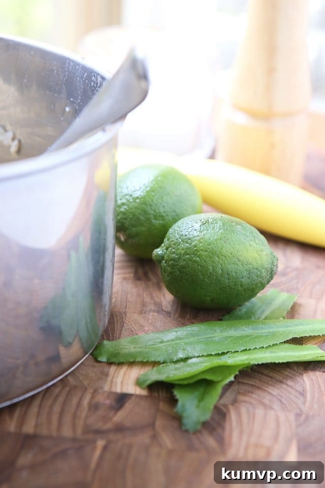 This recipe for Cilantro Lime Brown Rice is a perfect side for any Mexican dish. Use it to fill burritos, top with black beans or eat on its own! Recipe via aggieskitchen.com This recipe for Cilantro Lime Brown Rice is a perfect side for any Mexican dish. Use it to fill burritos, top with black beans or eat on its own! Recipe via aggieskitchen.com