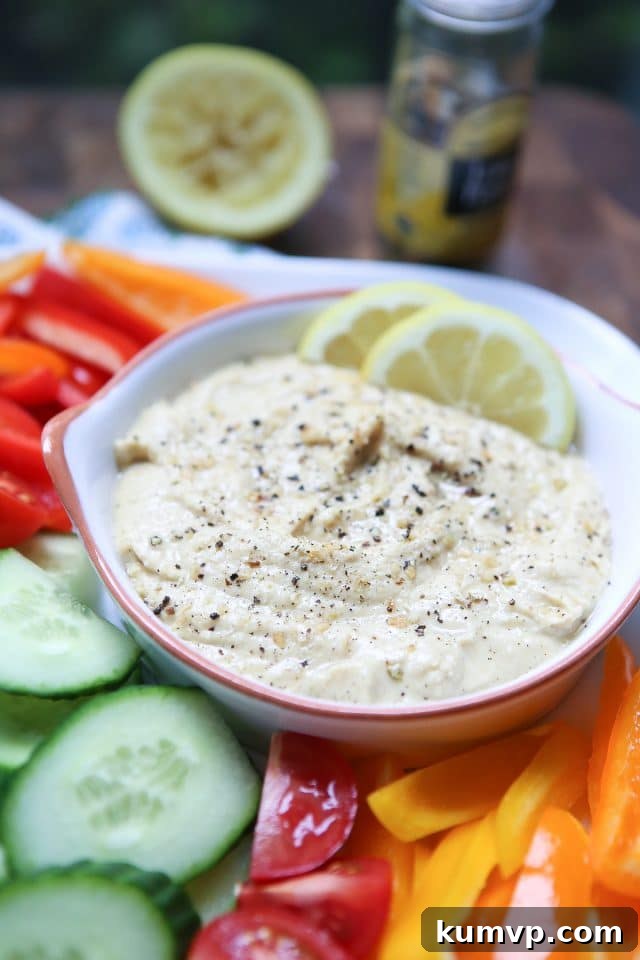 Zesty Lemon Pepper Hummus Garden Platter with Sabra Coupon 2 In need of an easy appetizer? Everyone loves a veggie plate! Spruce it up by serving fresh veggies with semi-homemade Lemon Pepper Hummus. Recipe via aggieskitchen.com #UnofficalMeal #NationalHummusDay