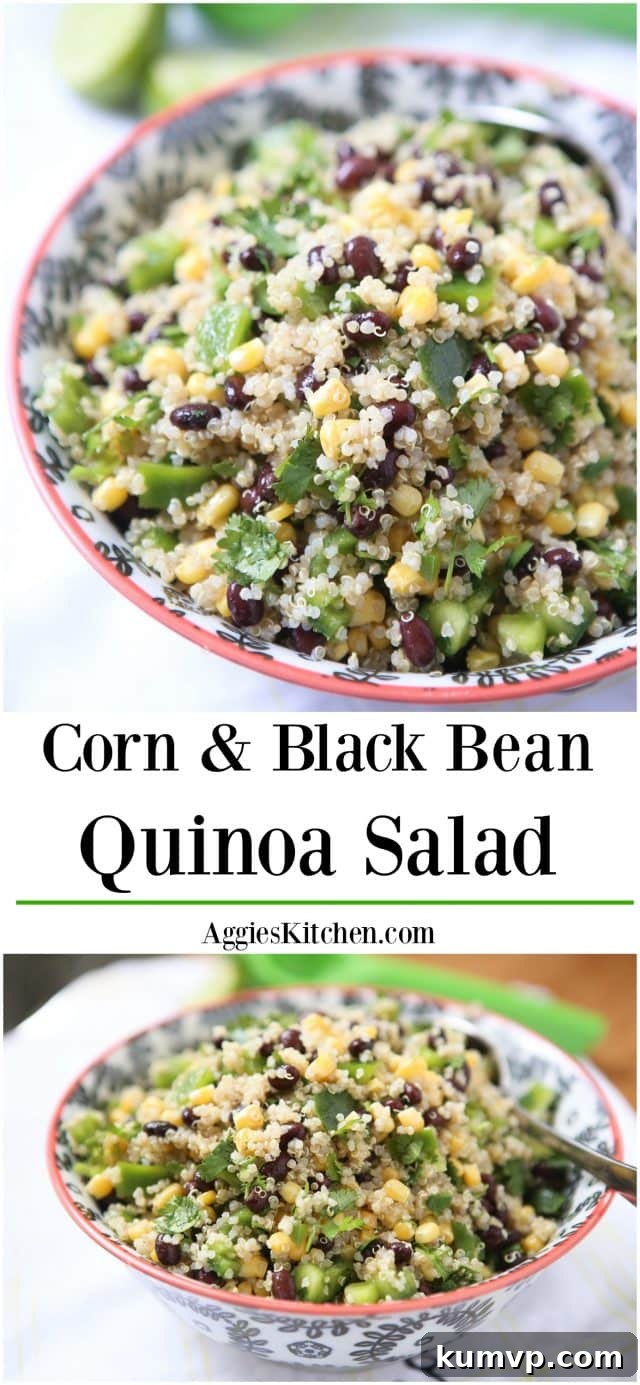 A beautifully presented Corn and Black Bean Quinoa Salad, styled for a healthy and satisfying meal. Features a generous serving in a bowl, garnished with fresh herbs, ready to be enjoyed.