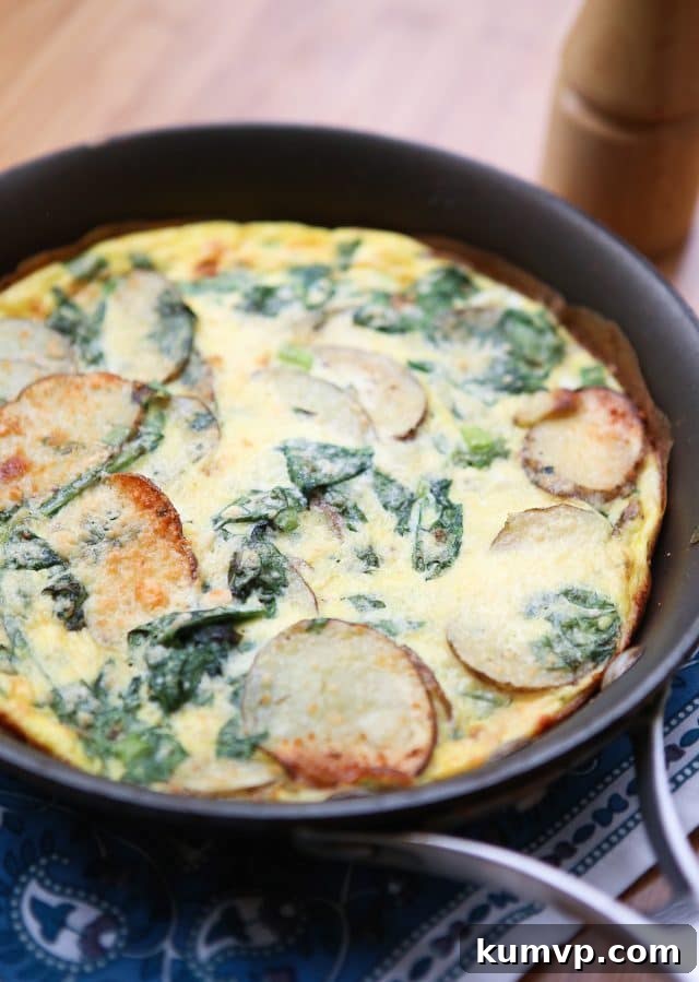 Green and Gold Frittata 2 A beautifully golden Spinach and Potato Frittata, showcasing its simple ingredients and delicious appeal. Perfect for breakfast, lunch, or dinner, this recipe embodies healthful eating and comforting flavors.