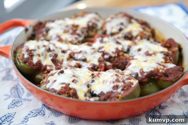 Fiesta Stuffed Bell Peppers 3 Vegetarian Enchilada Stuffed Peppers - the quinoa and black bean filling is so hearty and full of flavor, you won't miss the meat in this dish! recipe via aggieskitchen.com