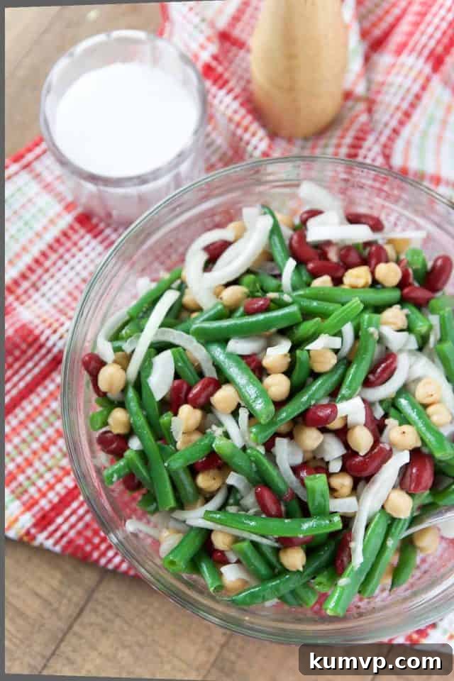 Refreshing Three-Bean Salad with Sweet Vidalia 6 A large serving bowl filled with Three Bean Salad and Vidalia Onions, garnished beautifully, ready to be enjoyed at a summer gathering.