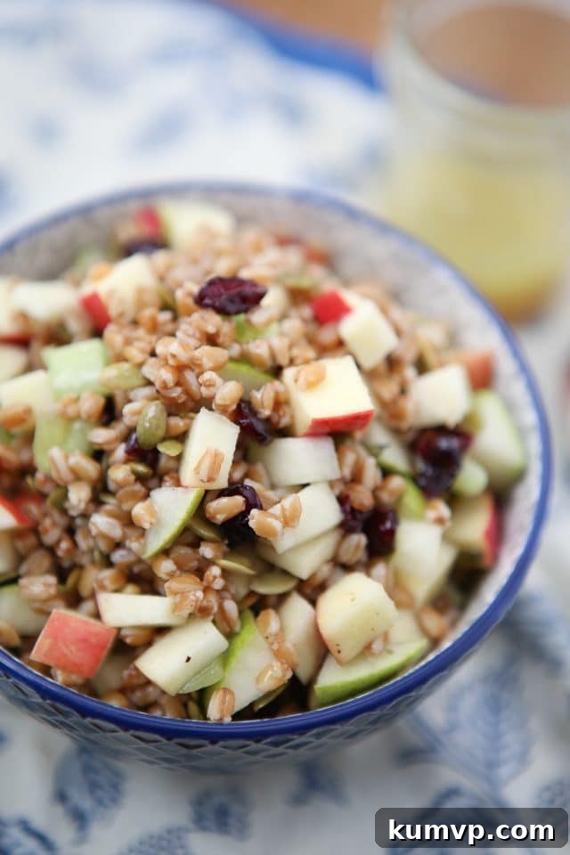 Harvest Farro Salad: A Nutritious and Flavorful Grain Salad for Fall and Winter A vibrant Harvest Farro Salad in a rustic bowl, featuring cooked farro, chopped crisp apples, juicy pears, dried cranberries, and pumpkin seeds, garnished with fresh herbs. Perfect for a healthy fall or winter meal, holiday potluck, or meal prep. Recipe via Aggie's Kitchen.