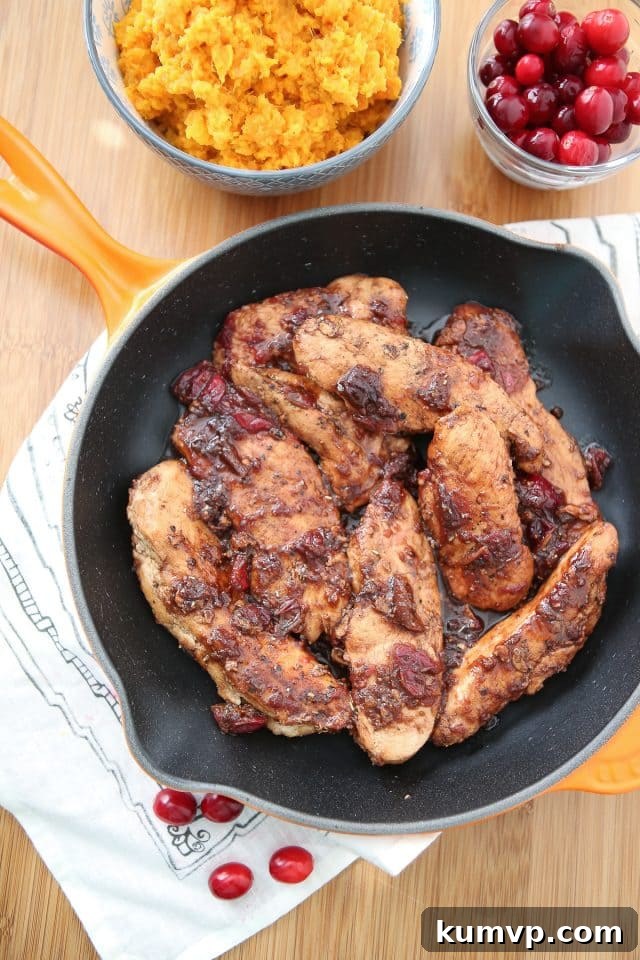 Tender chicken strips coated in a vibrant cranberry balsamic glaze, served hot in a nonstick skillet with fresh cranberries scattered around, ready to be enjoyed. A container of fresh cranberries is visible in the background, emphasizing the key ingredient.