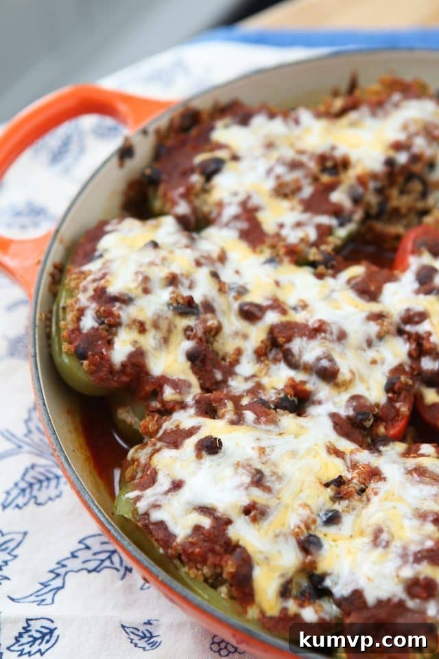 Wholesome Vegetarian Enchilada Stuffed Peppers with quinoa and black bean filling, a healthy dinner