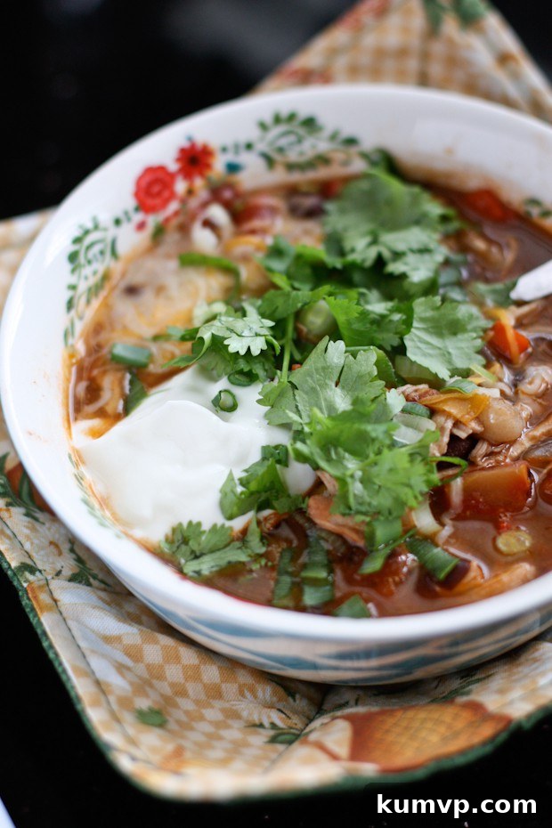 Healthy Chicken Tortilla Soup | aggieskitchen.com, a comforting and flavorful soup perfect for chilly evenings or a light, healthy meal. Easy to make and family-friendly.